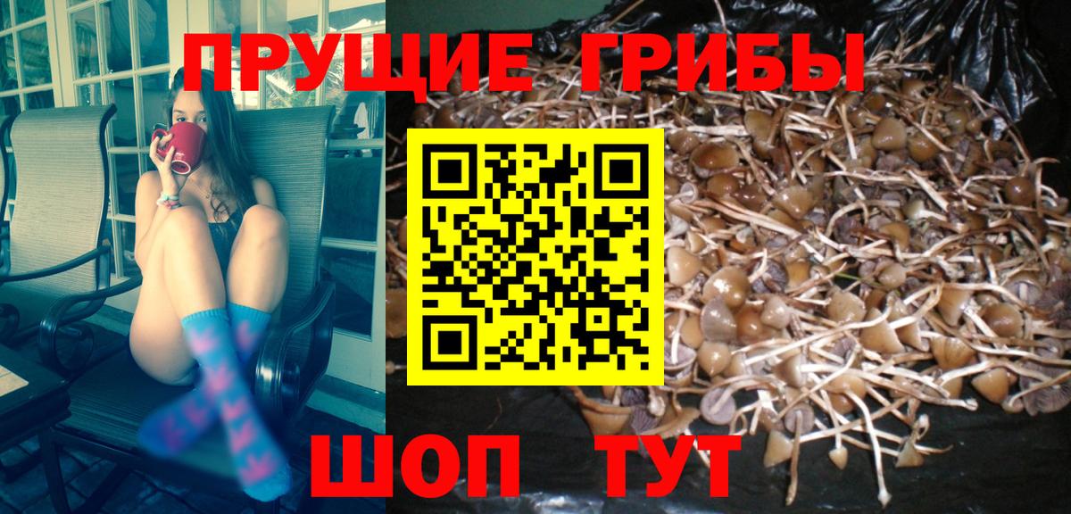 Псилоцибиновые грибы ЛСД Карпинск