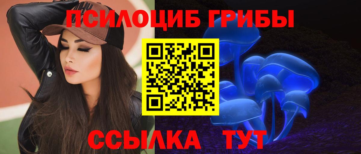 Псилоцибиновые грибы Cubensis  Вход с VPN  Карпинск 